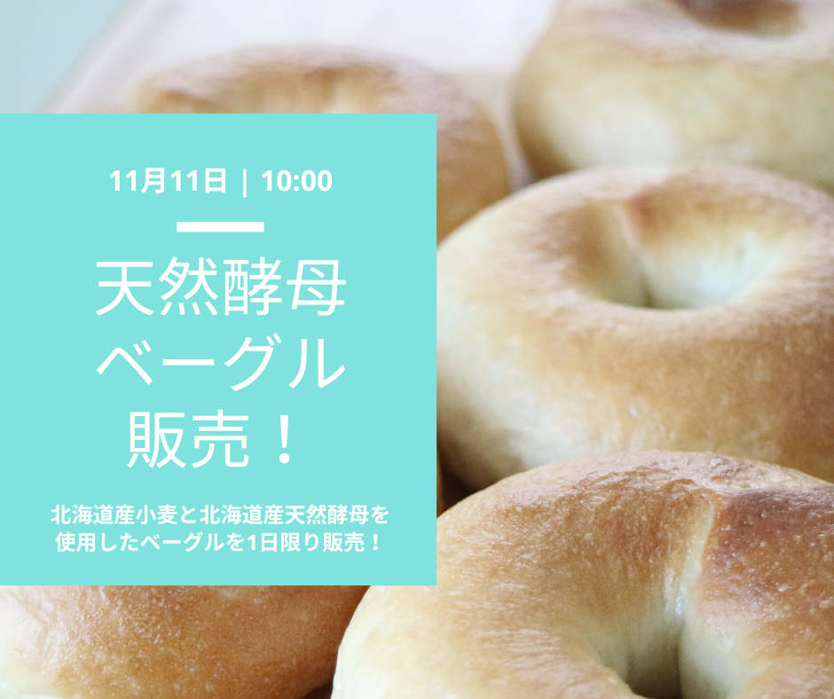 11月11日北海道天然酵母パンマルシェ開催します！